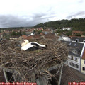 19_50-nest.jpg