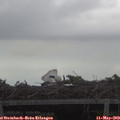 19_55-mast.jpg