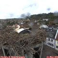 20_00-nest.jpg