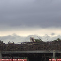 20_15-mast.jpg