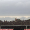20_20-mast.jpg