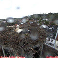 20_20-nest.jpg