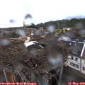 20_45-nest.jpg