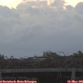 05_45-mast.jpg