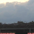 05_50-mast.jpg