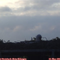 06_00-mast.jpg
