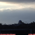 06_05-mast.jpg