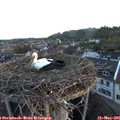 06_05-nest.jpg