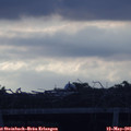 06_20-mast.jpg