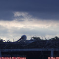 06_30-mast.jpg