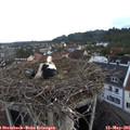 06_30-nest.jpg