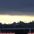 06_35-mast.jpg