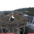 06_35-nest.jpg