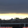 06_40-mast.jpg