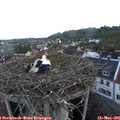 06_40-nest.jpg