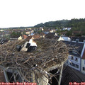 06_45-nest.jpg