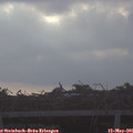 07_00-mast.jpg