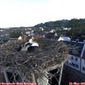 07_00-nest.jpg