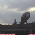 07_05-mast.jpg
