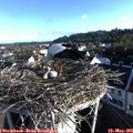 07_15-nest.jpg