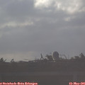 07_30-mast.jpg