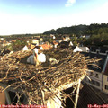 07_30-nest.jpg