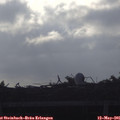 07_35-mast.jpg