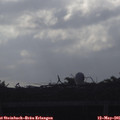 07_45-mast.jpg