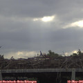 08_25-mast.jpg
