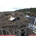 08_25-nest.jpg