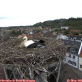 08_30-nest.jpg