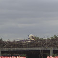 08_35-mast.jpg