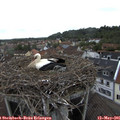 08_40-nest.jpg
