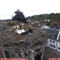 08_45-nest.jpg