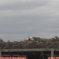 09_35-mast.jpg