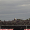 09_40-mast.jpg