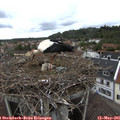 09_50-nest.jpg
