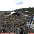 09_55-nest.jpg