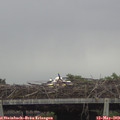 10_00-mast.jpg