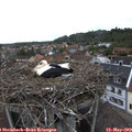 10_00-nest.jpg
