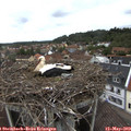 10_15-nest.jpg