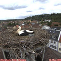 10_35-nest.jpg