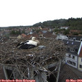 11_15-nest.jpg
