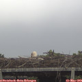 11_35-mast.jpg