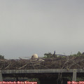 11_45-mast.jpg