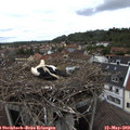 12_05-nest.jpg