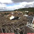 12_20-nest.jpg