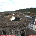 12_25-nest.jpg