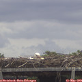 12_35-mast.jpg