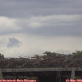12_45-mast.jpg